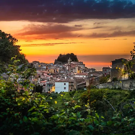 Ruggieri - Don Leonardo 그래터리